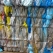 Granulaty tworzyw: Folia LDPE kolor