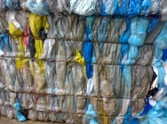 Folia LDPE kolor
