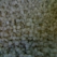 Regranulat LDPE