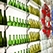 Promocja opakowań szklanych na targach Drinktec