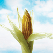 Bioplastics market is still growing