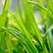 BASF stawia na Ecovio i Ecoflex