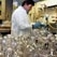 New types of environmentally sustainable plastics