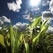 Great Britain increases recycling goals