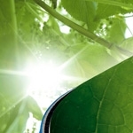 Energy from waste