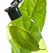 Biodegradation behaviour will affect PCL and PBS disposal