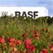BASF increases prices