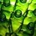 Green packaging market