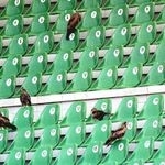 Azoty Tarnów na stadionie w Gdańsku