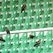 Azoty Tarnów na stadionie w Gdańsku