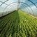 Nowe stabilizatory BASF