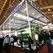 Engel forecasts record year