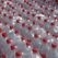 Single-use and re-usable packaging: Deposits, market and innovations