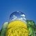 Commission proposes strategy for sustainable bioeconomy in Europe