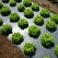 New plastic for biodegradable mulch film