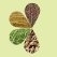 New concepts for the sustainable use of wood: a bio-refinery in the Westerwald?
