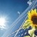 Dow begins production of Enlight Polyolefin Encapsulant Films 