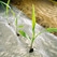 New data on land-use for bioplastics