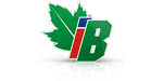 Logo IB Sp. z o.o.