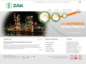 ZAK wygląd strony