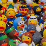 Cztery popularne ftalany na liście substancji wysokiego ryzyka