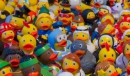Cztery popularne ftalany na liście substancji wysokiego ryzyka