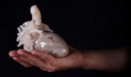 Materialise World Summit 2017: Druk 3D w medycynie i przemyśle