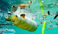 Deklaracja G20 dotycząca redukcji zanieczyszczenia oceanów
