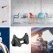 Experience the variety of plastics first-hand