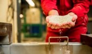Ascend to increase production capacity of polymers by 10 to 15 percent