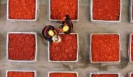 LANXESS increases prices for solvent dyes