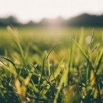 Biodegradowalna agrotkanina z Politechniki Łódzkiej