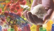 Diversity of the Bioeconomy: 11th Conference on Bio-based Materials