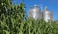 Future technologies for food and biomass production
