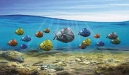 PolyTalk 2018 - Wspólna walka z zaśmieceniem oceanów