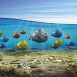 PolyTalk 2018: Wspólna walka z zaśmieceniem oceanów