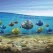 PolyTalk 2018: Wspólna walka z zaśmieceniem oceanów