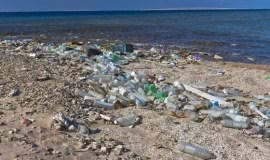 New EU rules to reduce marine litter
