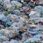 Śmieci mogą nas drogo kosztować