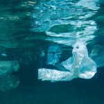 Na szczycie G7 podpisano Ocean Plastics Charter