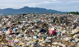 Biznes zgłasza obawy dotyczące dyrektywy Single Use Plastics