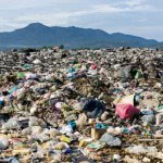 Biznes zgłasza obawy dotyczące dyrektywy Single Use Plastics