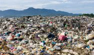 Biznes zgłasza obawy dotyczące dyrektywy Single Use Plastics