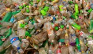 Problemy w recyklingu biotworzyw