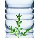 Discarded PET bottles are reborn