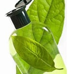 Biodegradation behaviour will affect PCL and PBS disposal