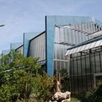 Polycarbonate sheets just like new after 13 years