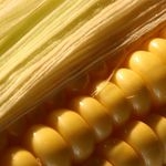 NatureWorks will offer new high performance Ingeo resins