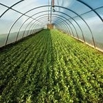 Nowe stabilizatory BASF