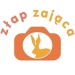 W pogoni za zającem